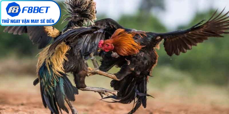 Yếu tố tâm lý luôn đóng vai trò quyết định đến sự tỉnh táo của người chơi