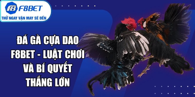Đá Gà Cựa Dao F8Bet
