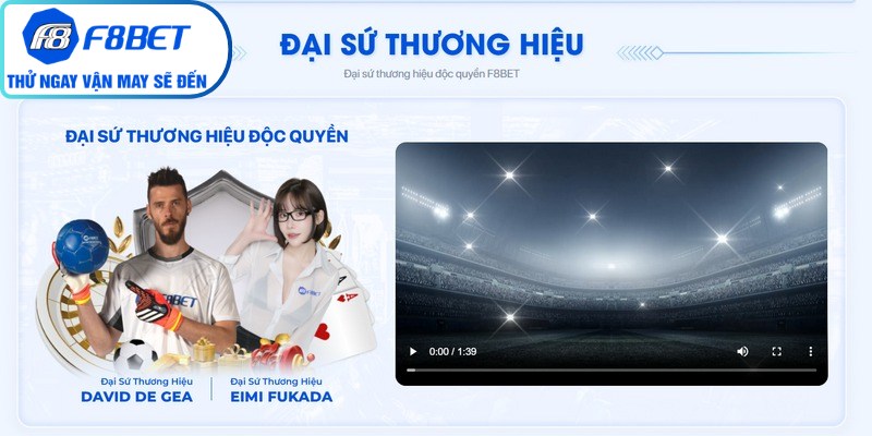 Nguyên nhân phổ biến hàng đầu dẫn đến việc quên mật khẩu F8Bet