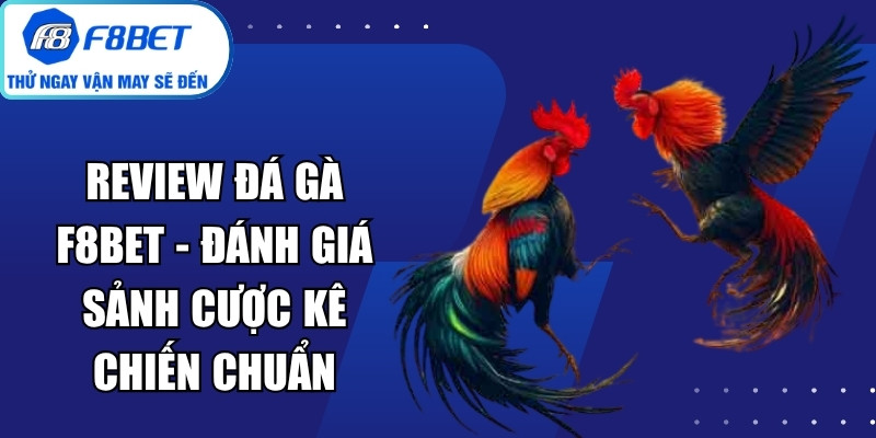 Review Đá Gà F8Bet