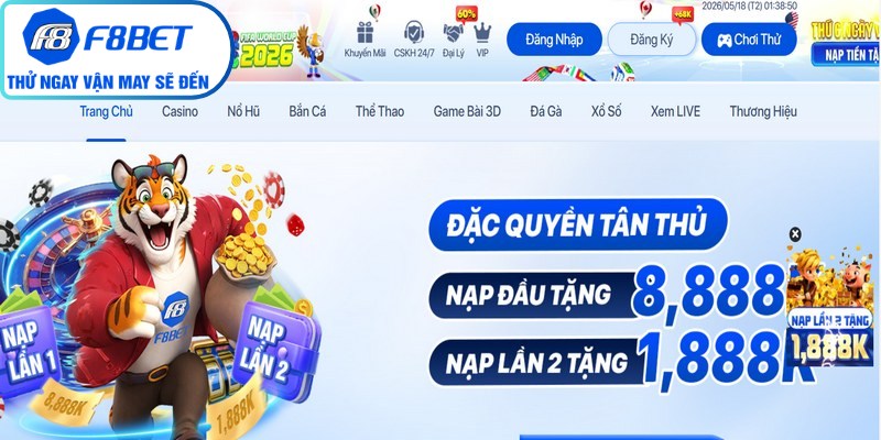 Quan sát và phân tích luật vận hành của từng danh mục giải trí